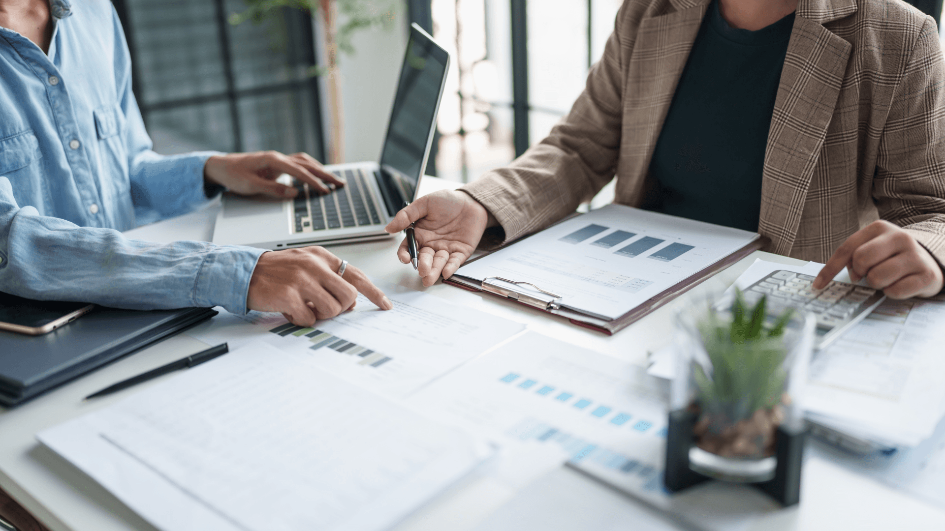 Software user interface