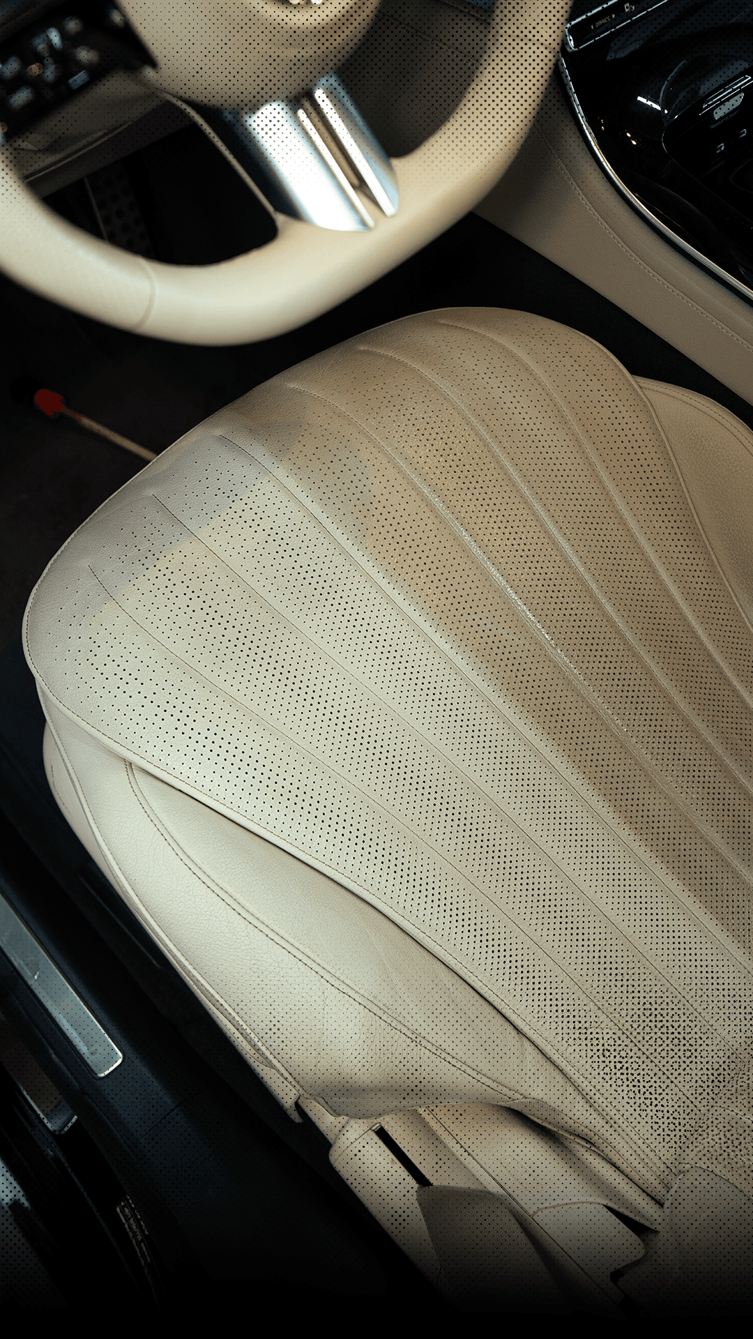 A close-up view of dark green leaves, creating a lush, textured background with subtle variations in color.