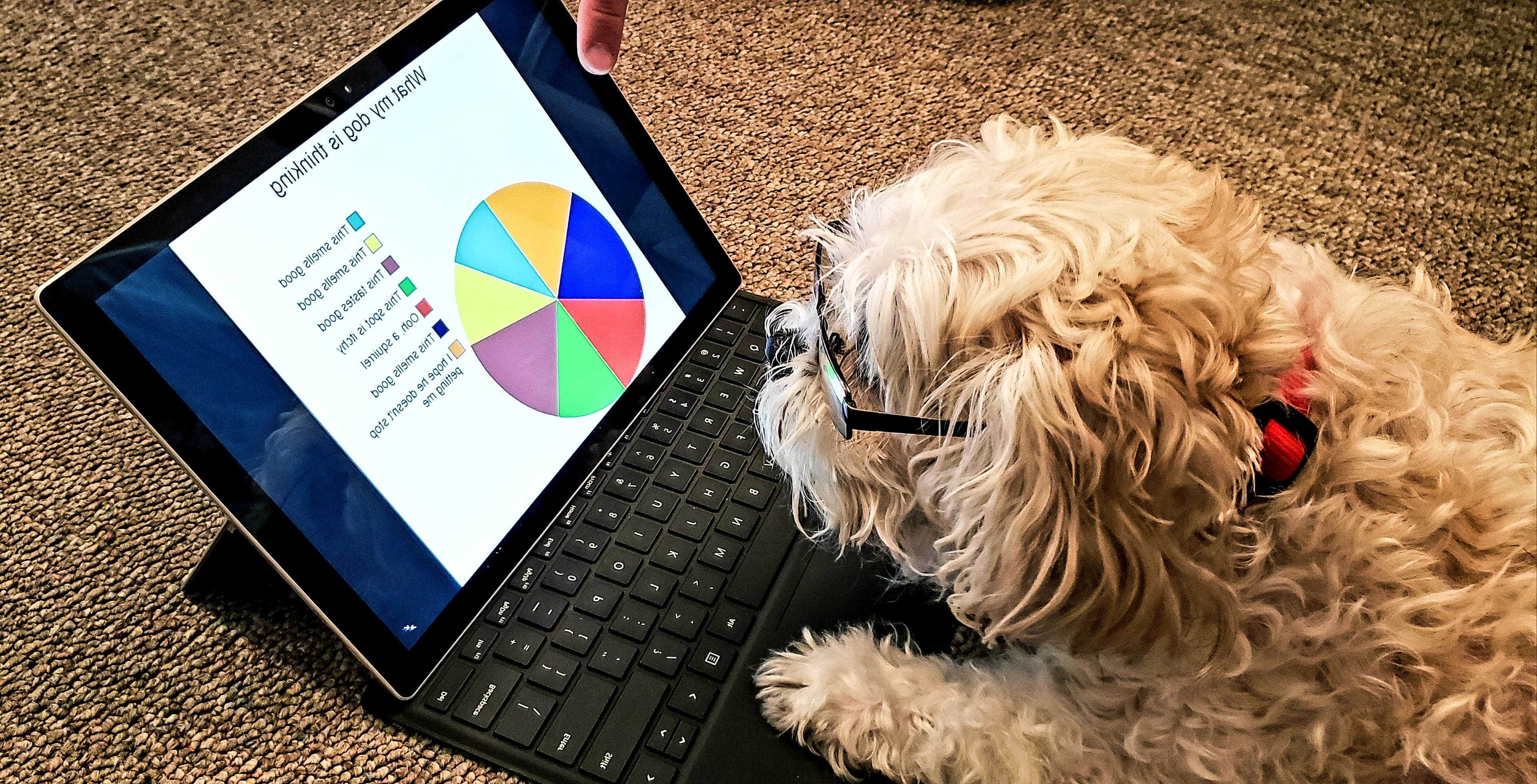 The insights you gather here will guide every decision you make later, ensuring your design is user-centered.