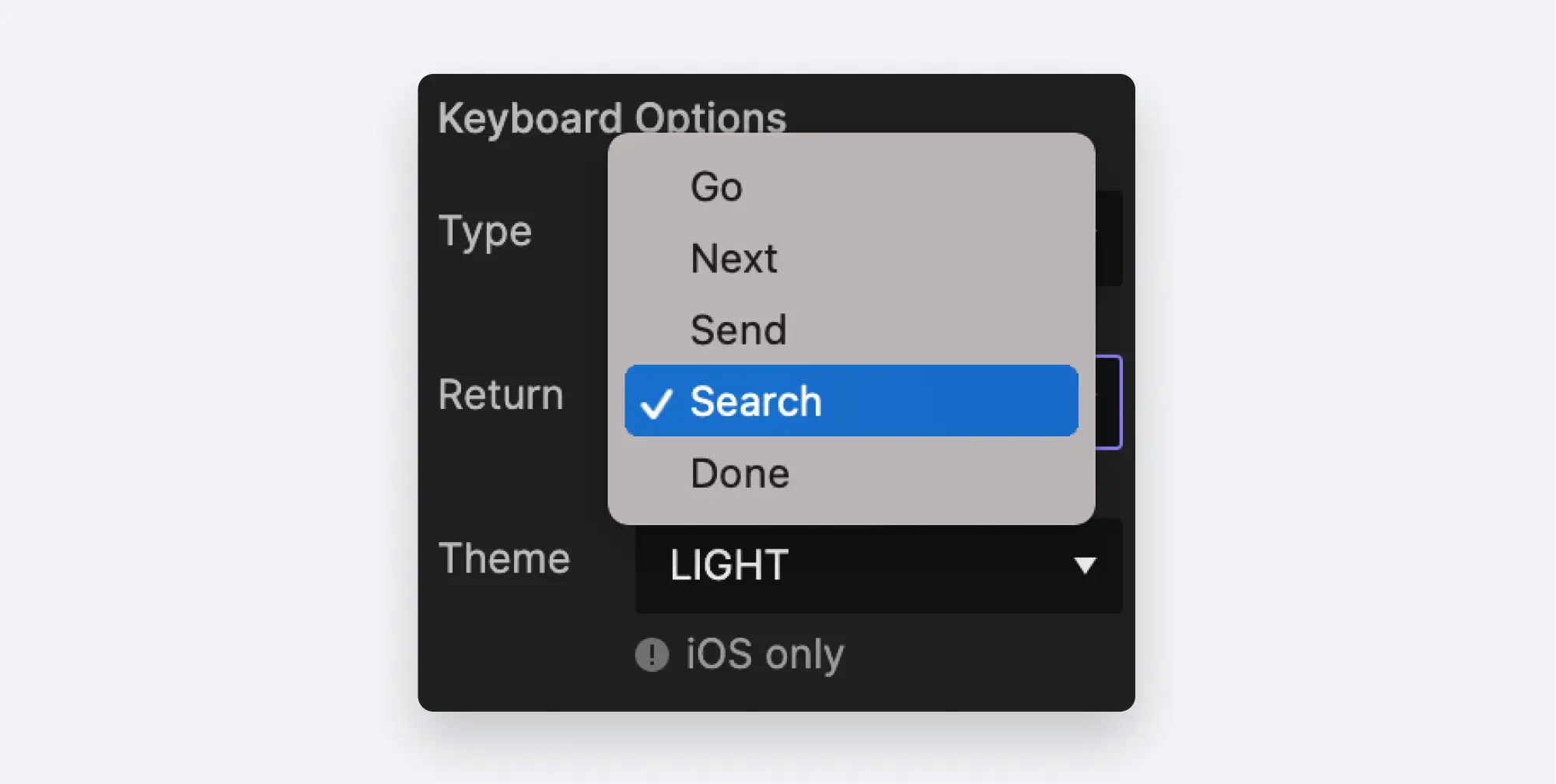 Searchオプション