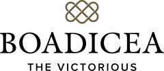 Logo in velocity