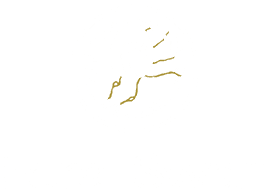 Feral Swan logo