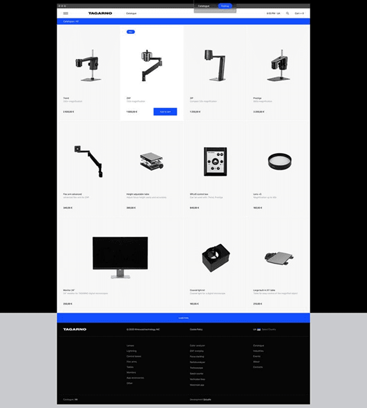 Web Development