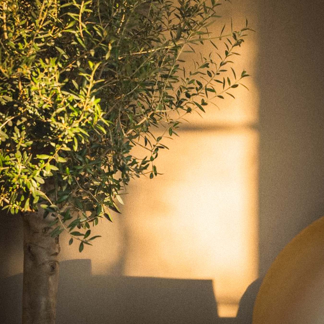 black laptop computer on white textile