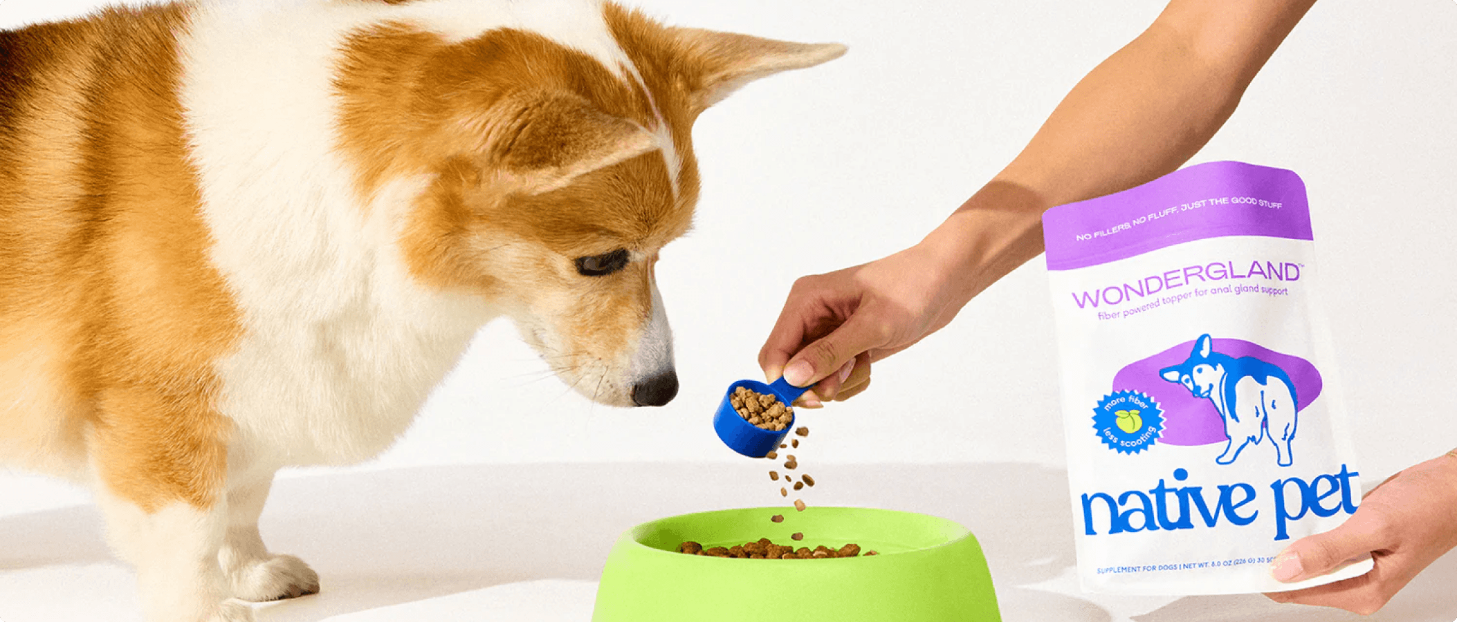 Native Pet dog supplement feeding scene featuring pet wellness products