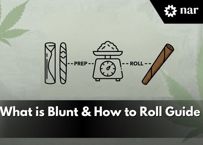 What-is-blunt-how-to-roll-guide