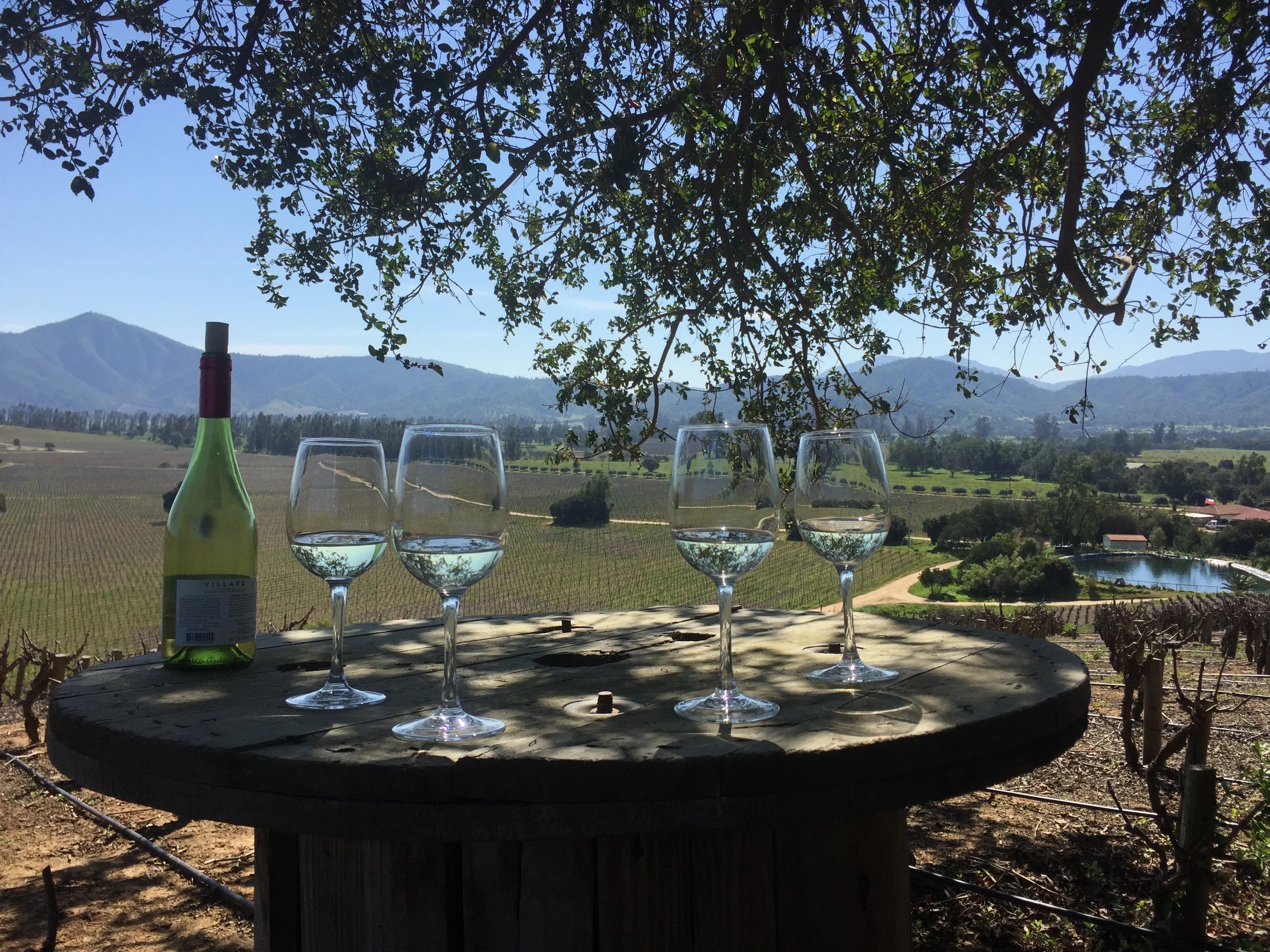 Wine glasses on a spool table with a vineyard and mountains behind.