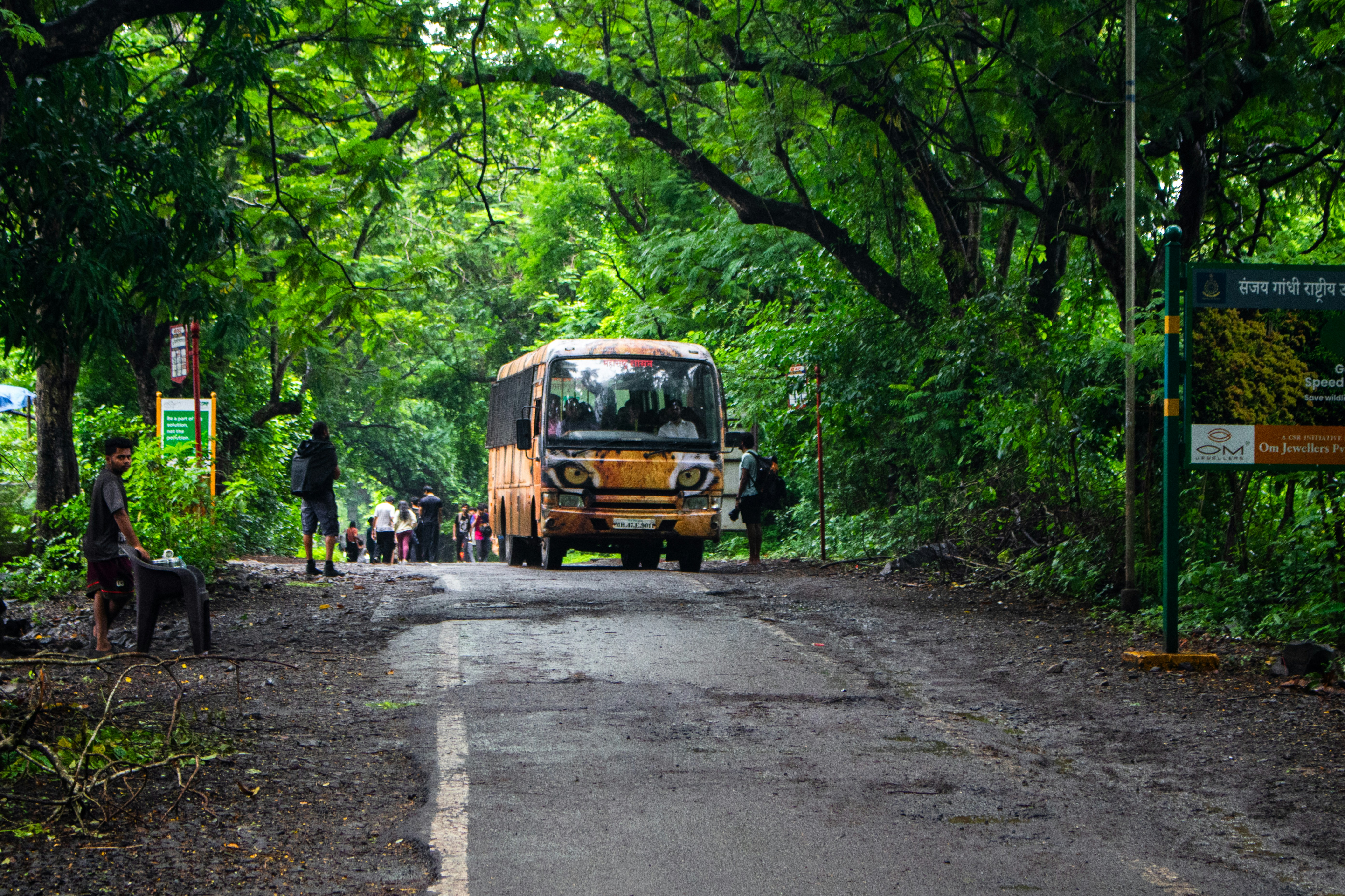 Tiger-painted bus on a road with trees and people.