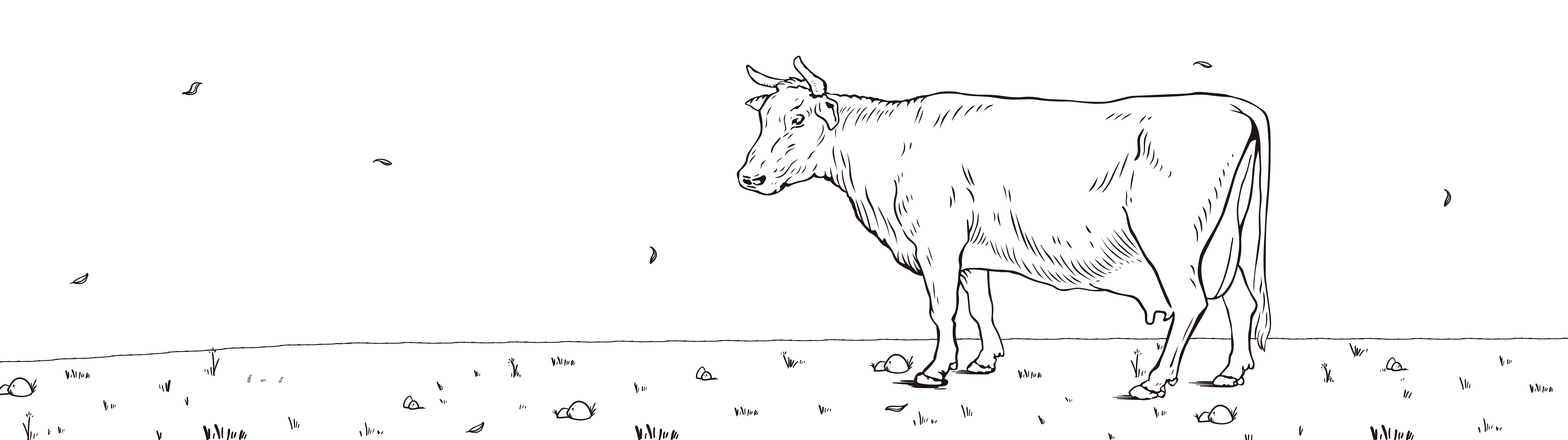 Illustration d'une vache à l'extérieur