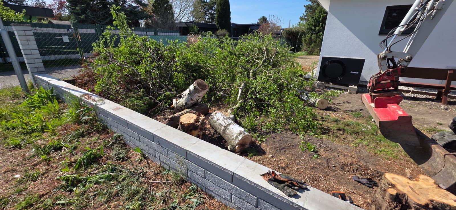 Problembaumbeseitigung – Berger Woodworks