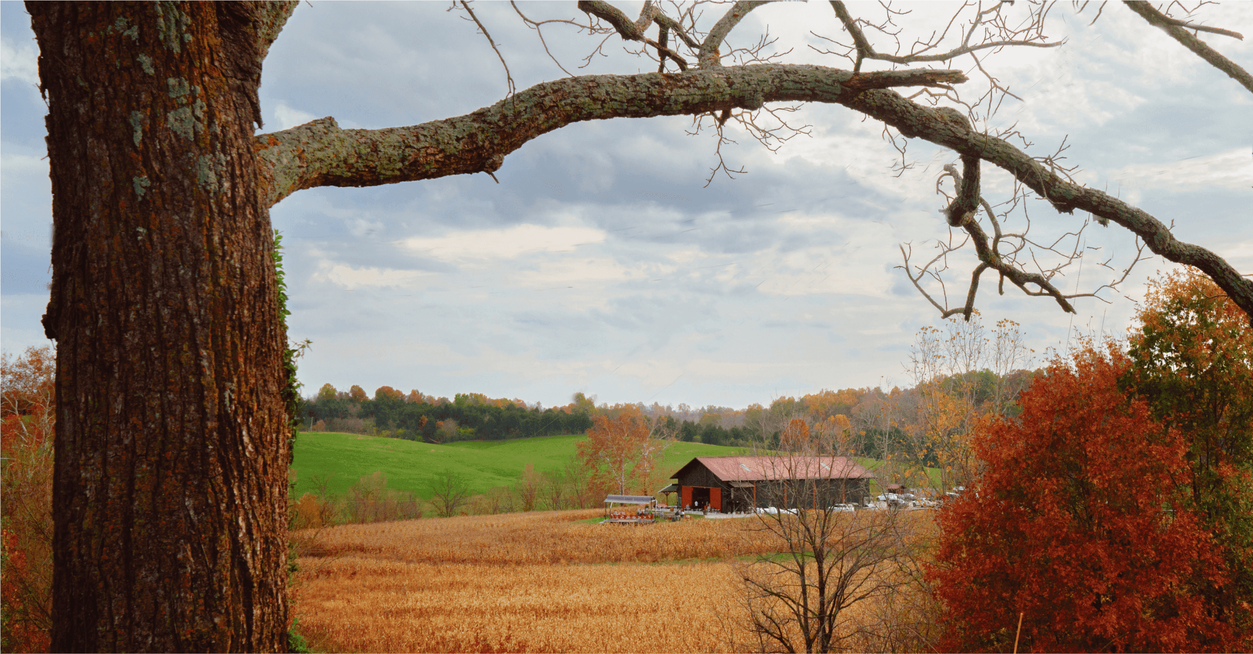 A scenic photo of the fields that the Franklin County Farm Barn is in the middle of. 