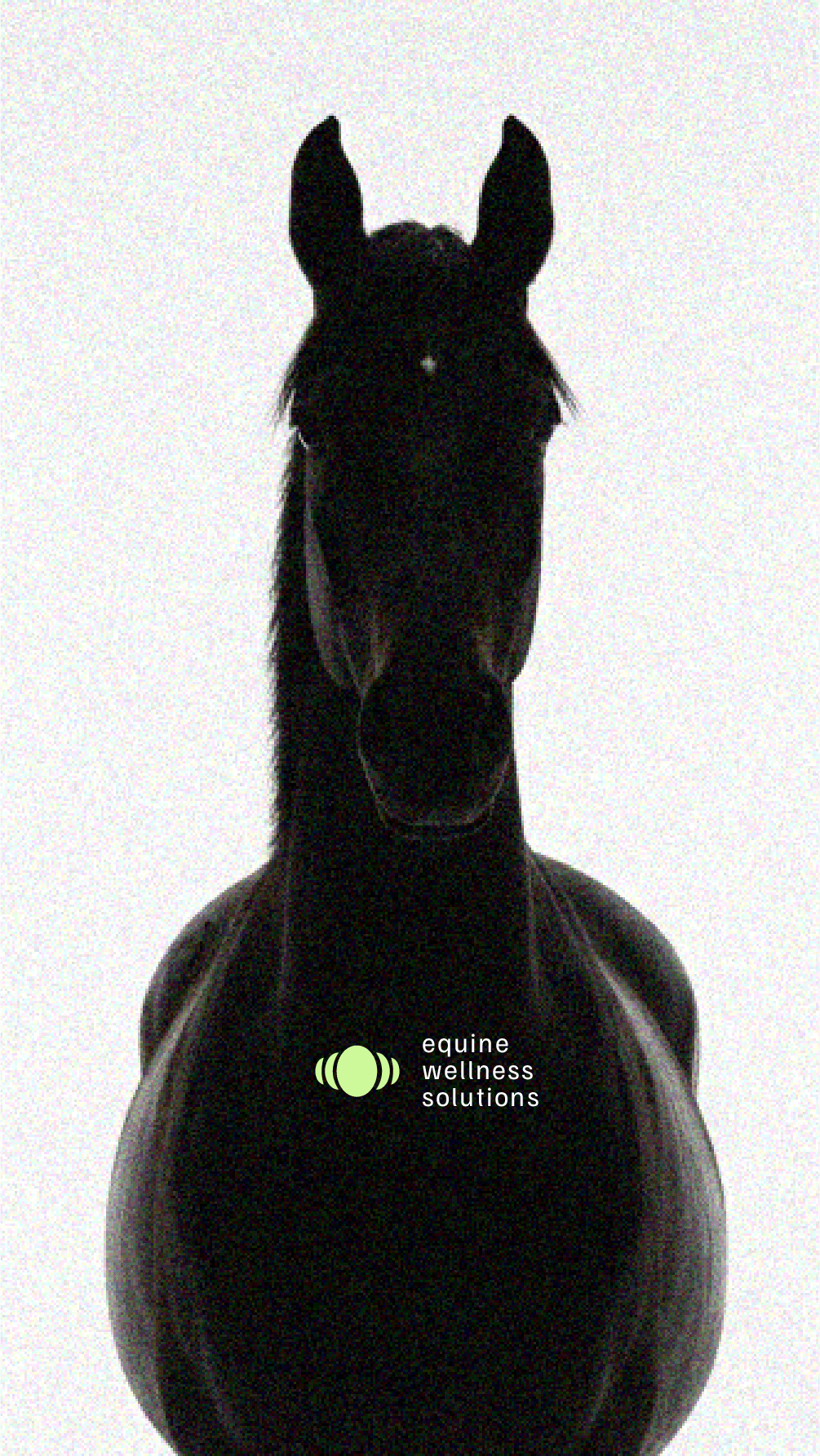 branding-cheval