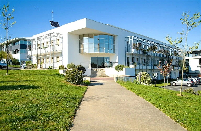 A group of four people engaged in a discussion while seated in a cozy, plant-filled setting.
