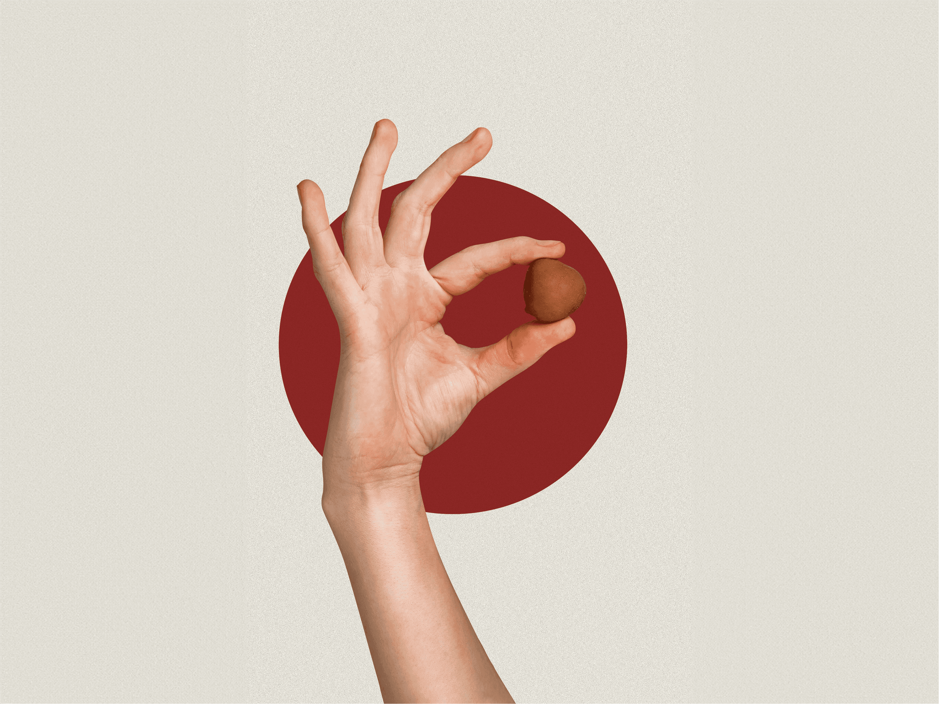 Lush garden with blooming hydrangeas and a house