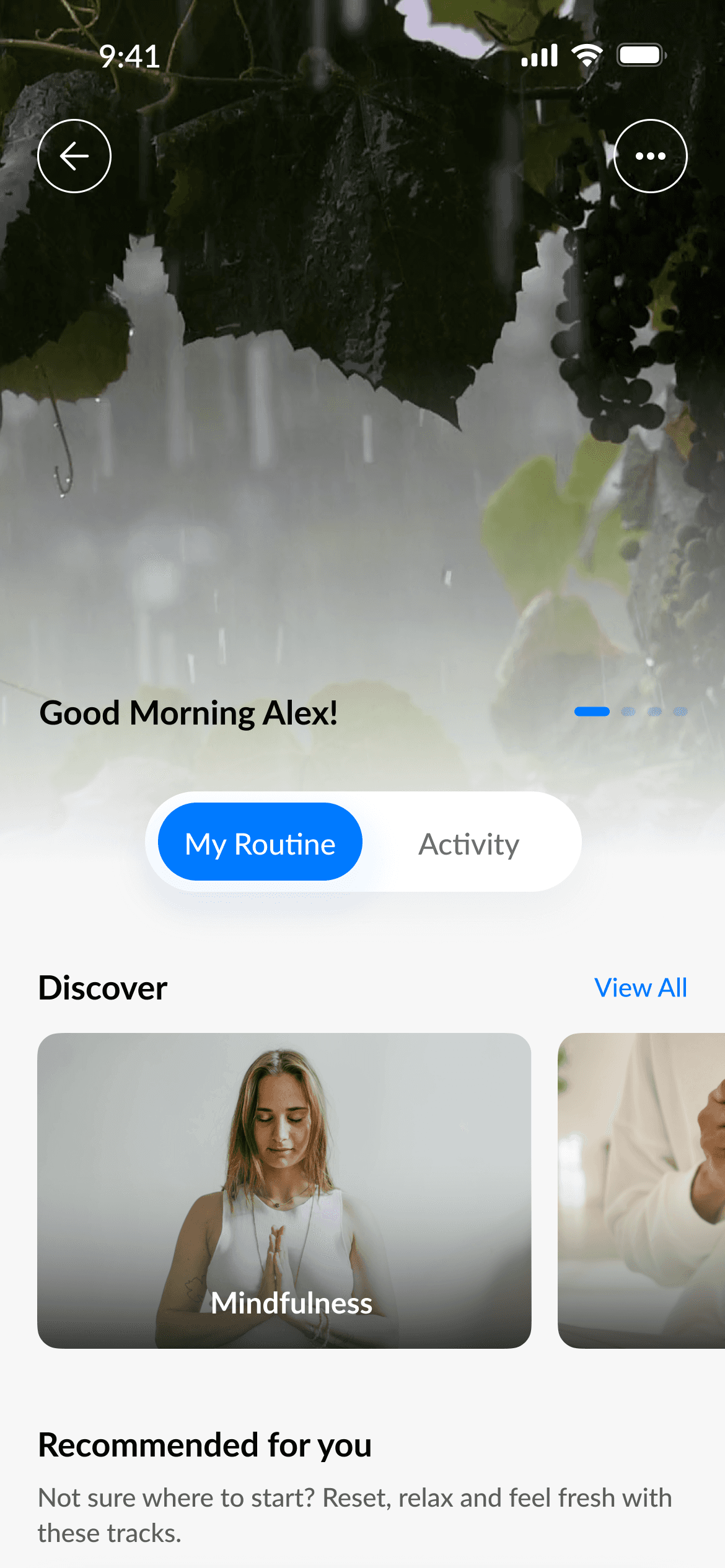 Medication homescreen