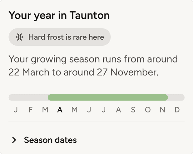 Year-round garden care timeline in the app