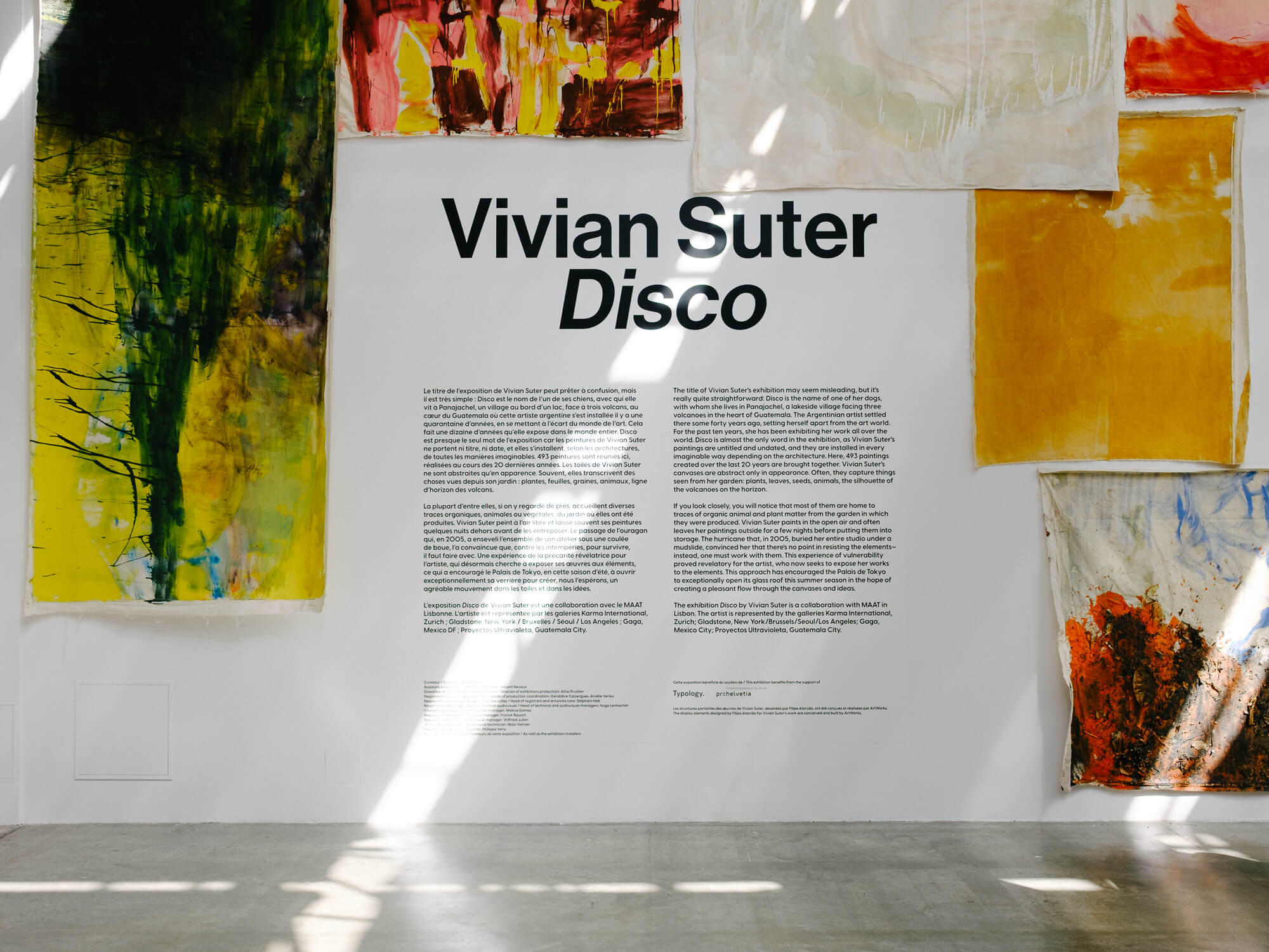 Vivian Suter Disco Photo by Victor Nikishov
