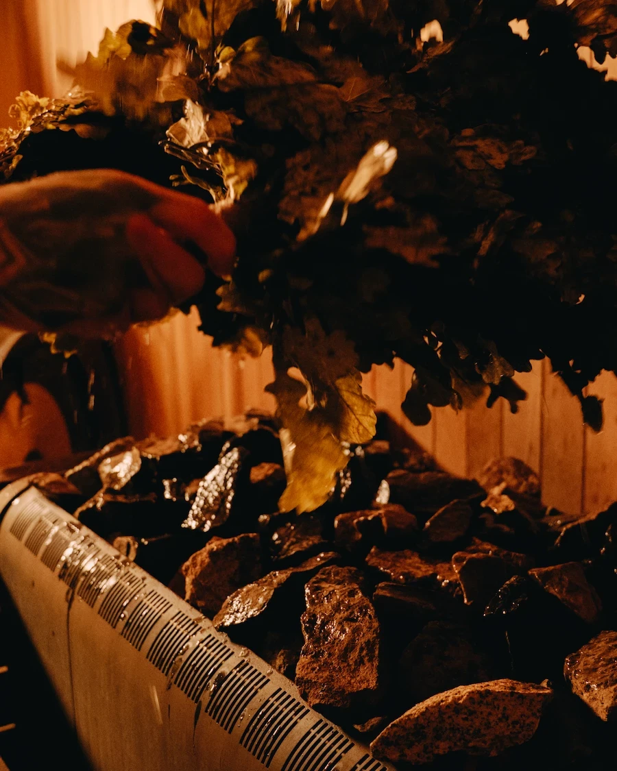 Birch branches used above hot sauna stones to release steam during an Aufguss or Banya session, demonstrating controlled heat and humidity techniques.