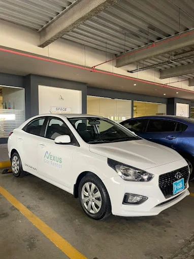 a beach with a palm tree and a hut in the background