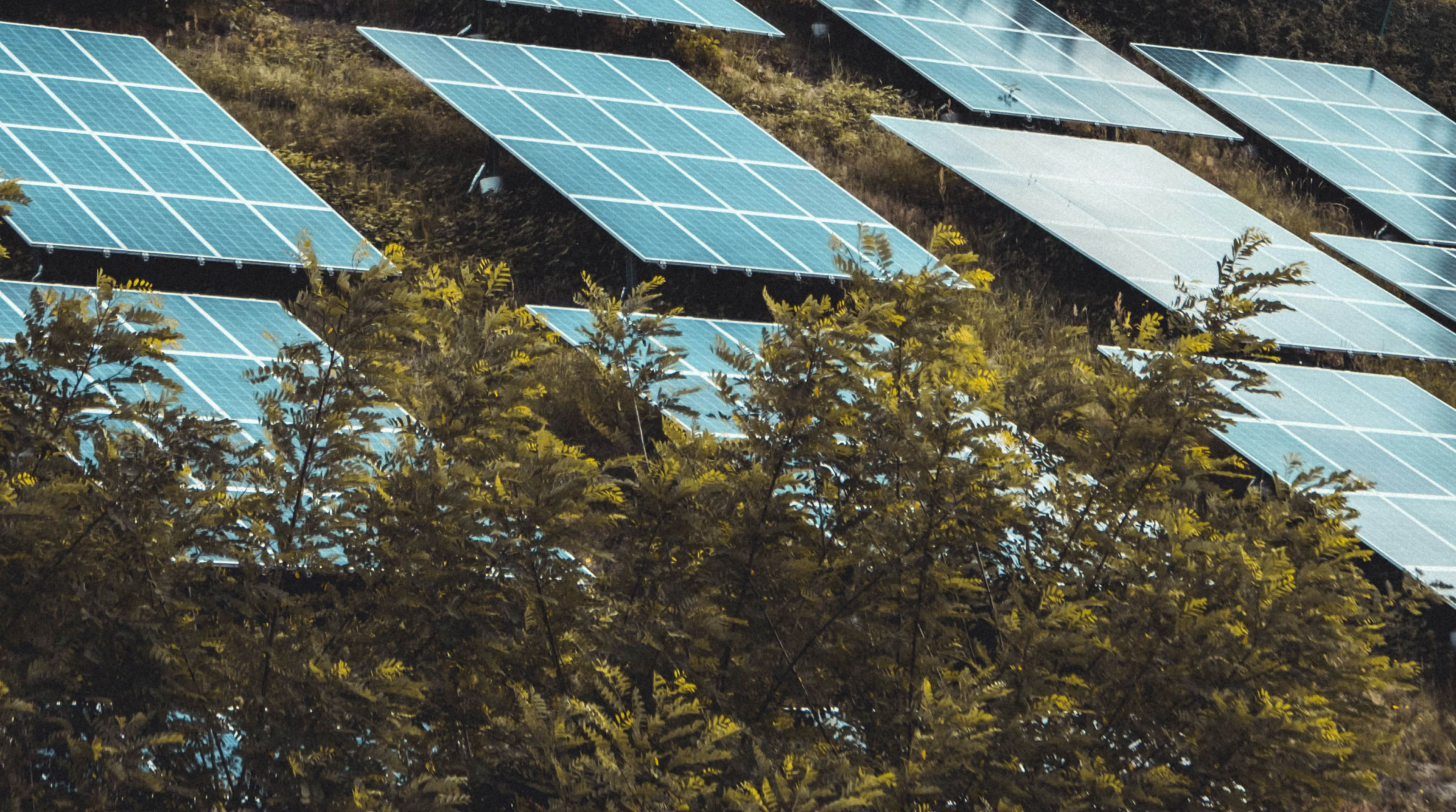 a high angle view of a building