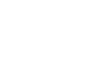 tgh logo