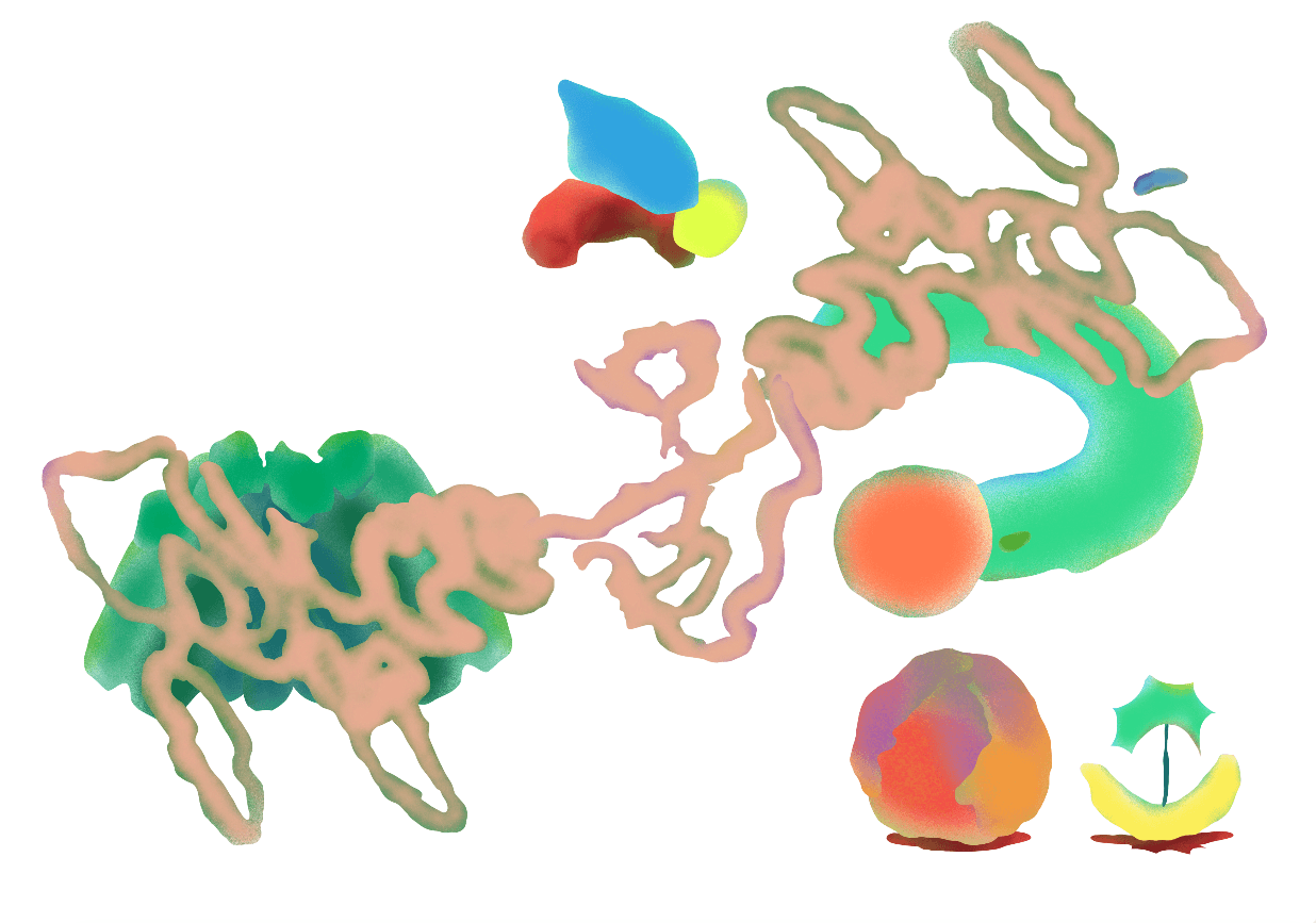 The image featured in the middle of the about us page