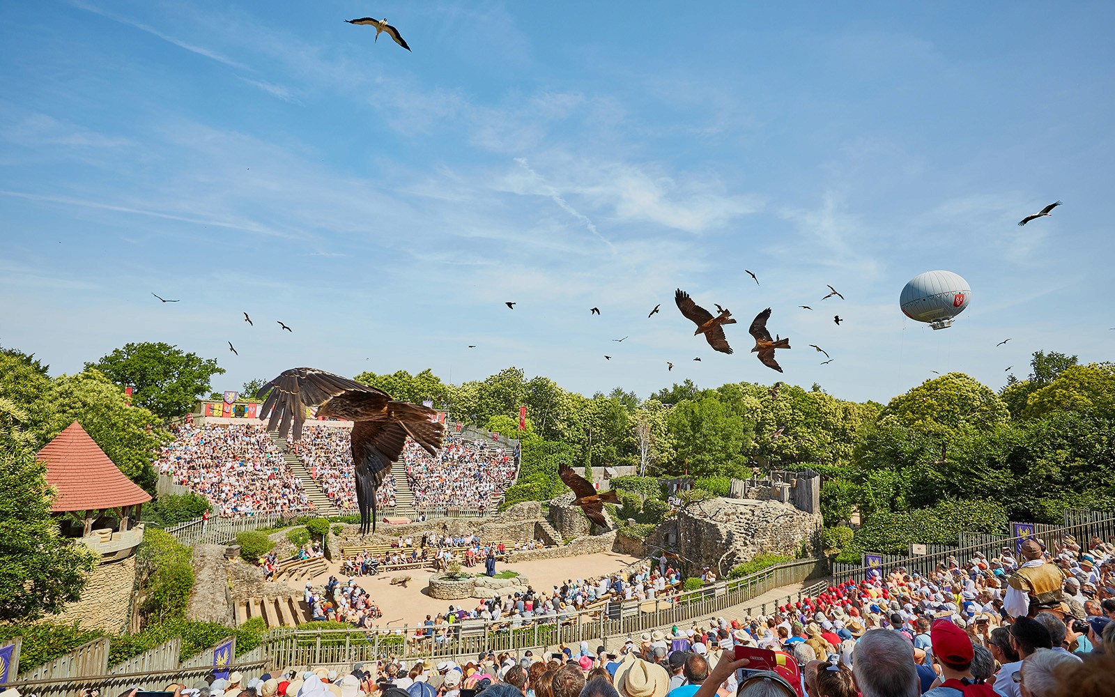 Birds flying over an outdoor amphitheater during The Ghost Birds Ball at Puy du Fou.