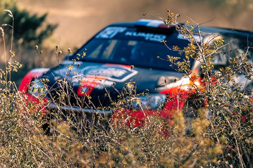 Fashion portrait photography