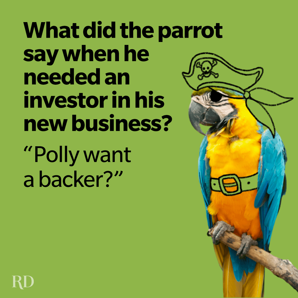 76 Pirate Jokes That Will Hook You Right In — parrot dressed as a pirate with a “Polly want a backer” joke.
