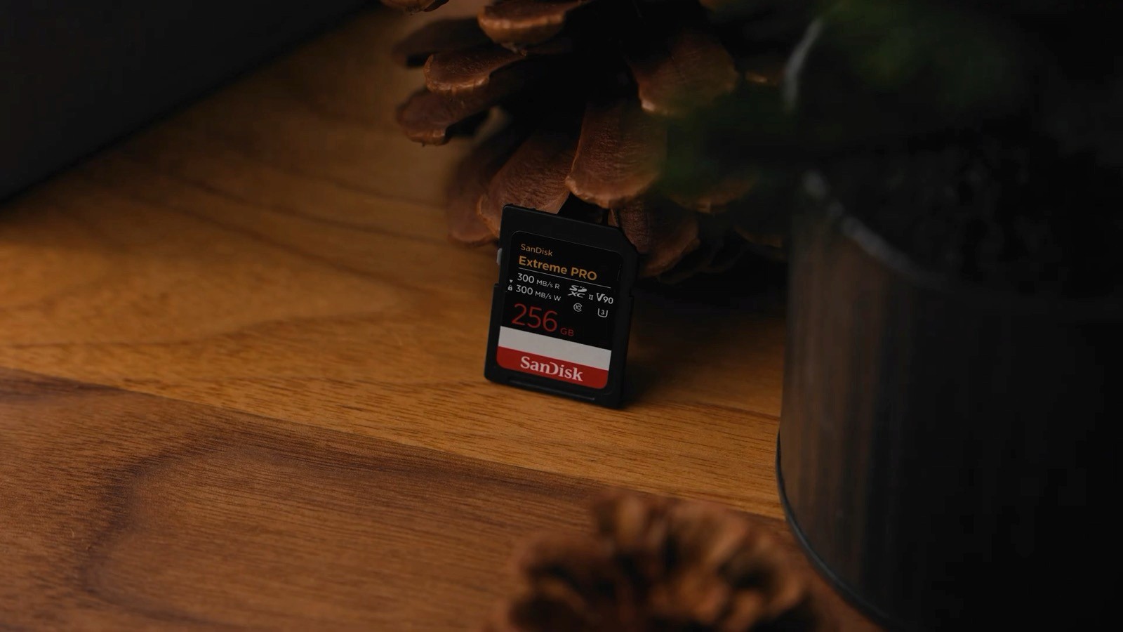 SanDisk Extreme PRO 256GB V90 SD card