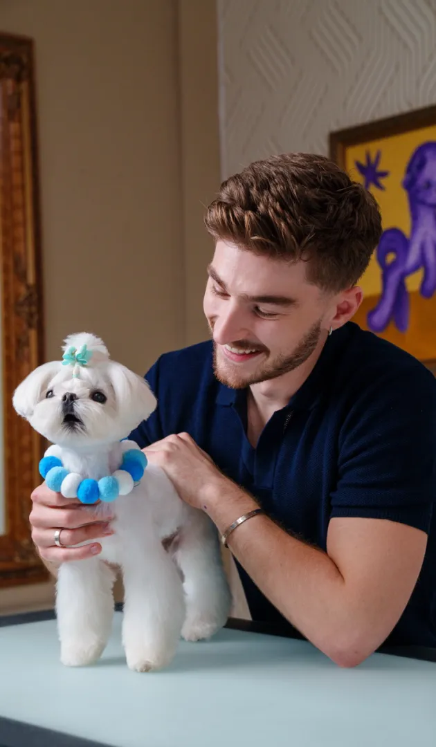 Groomer styling a small white dog at MIMO University Heights.