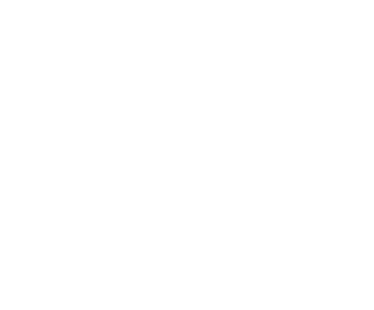 Windows Logo: Microsoft Operating System