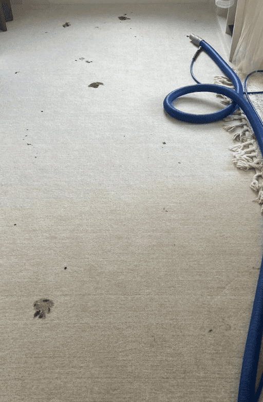 man in gray hoodie and blue denim jeans standing on brown wooden parquet flooring