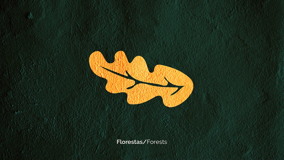 Provida rebrand key visual ecosystem forests element