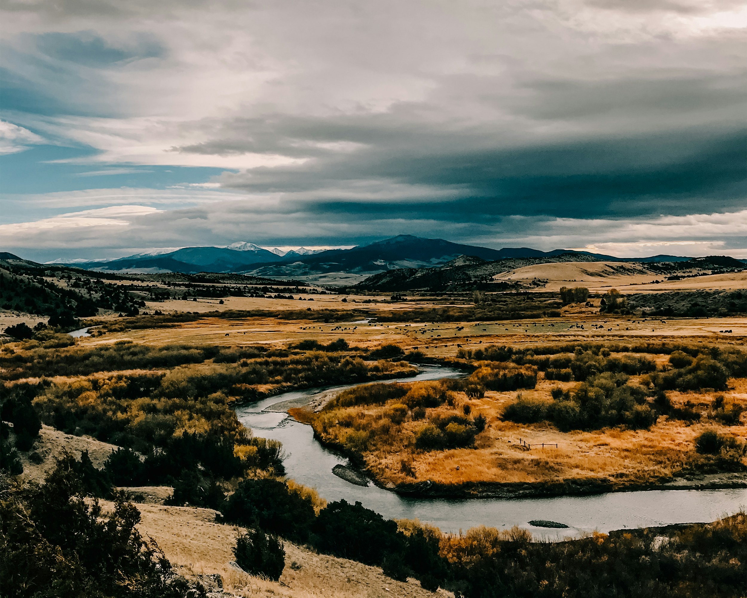 green grass field and trees under white clouds and blue sky during daytime