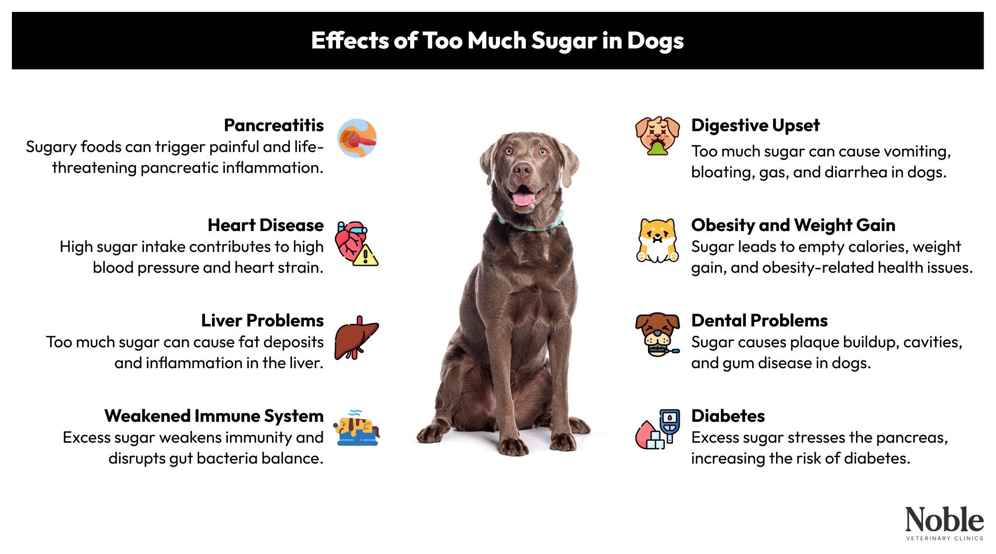 Effects of Too Much Sugar in Dogs