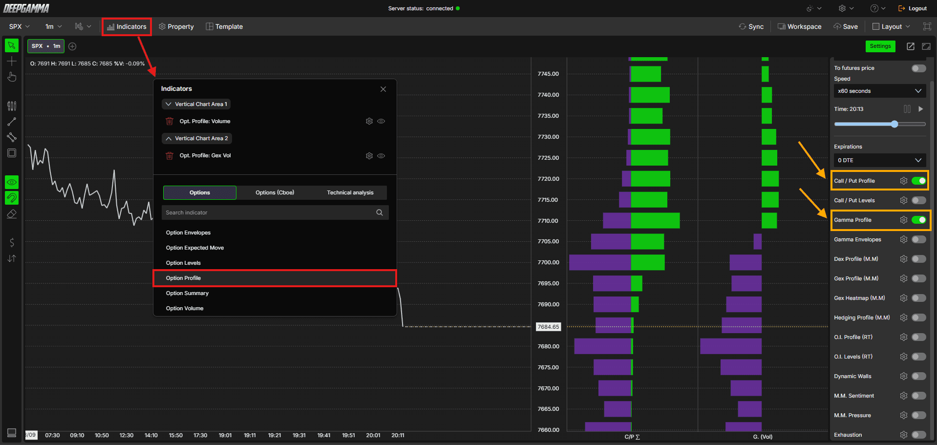 Option Profile - DeepGamma Web. How to Add Option Profile screenshot 2.