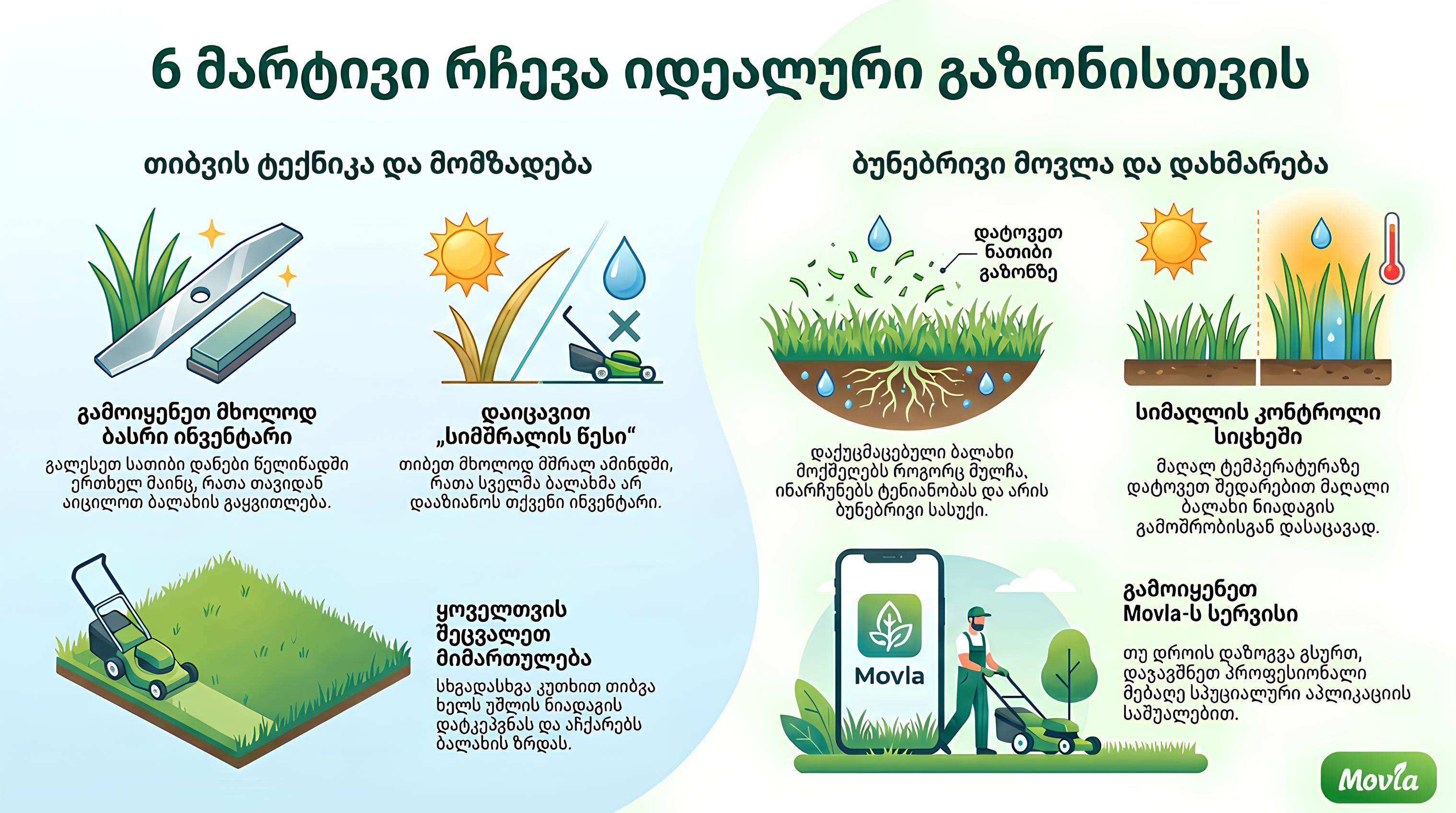 6 მარტივი რჩევა იდეალური გაზონისთვის: გათიბვის ტექნიკა და პროფესიონალი მებაღის გამოძახება Movla-ს აპლიკაციით.