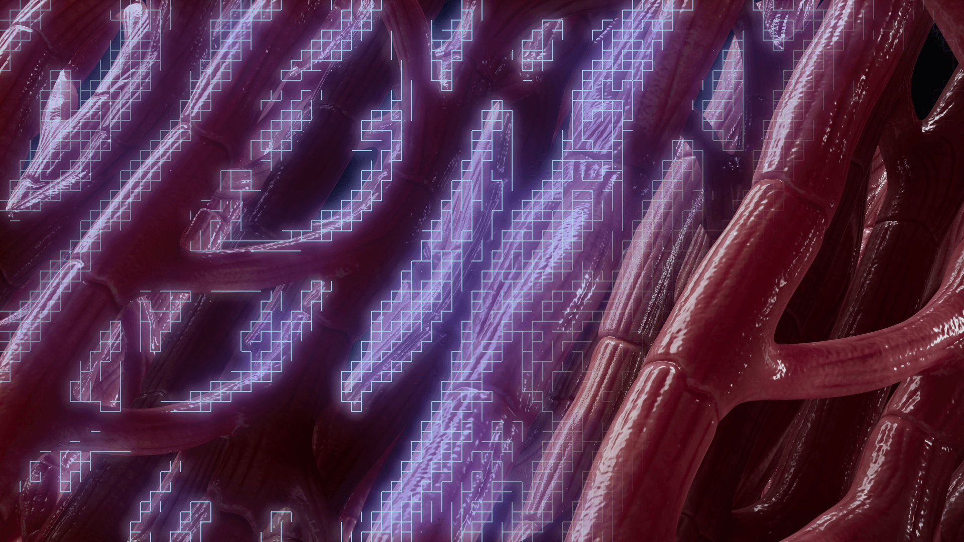 Cardiomyocytes and stem cells digitizing