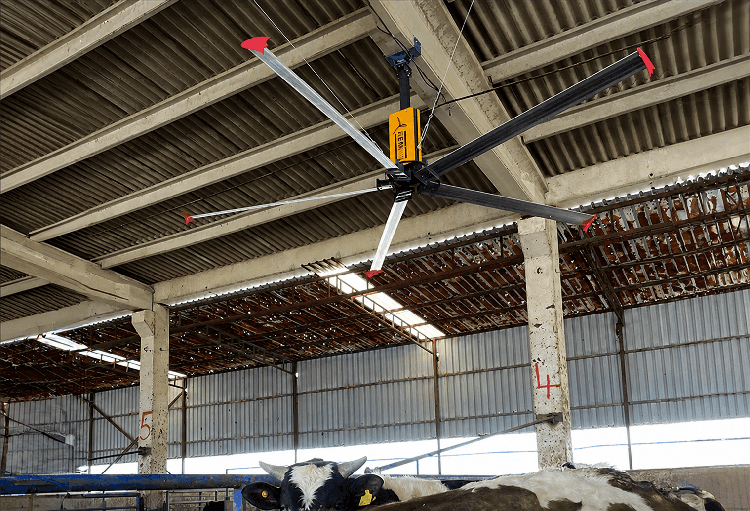 Cattle barn install