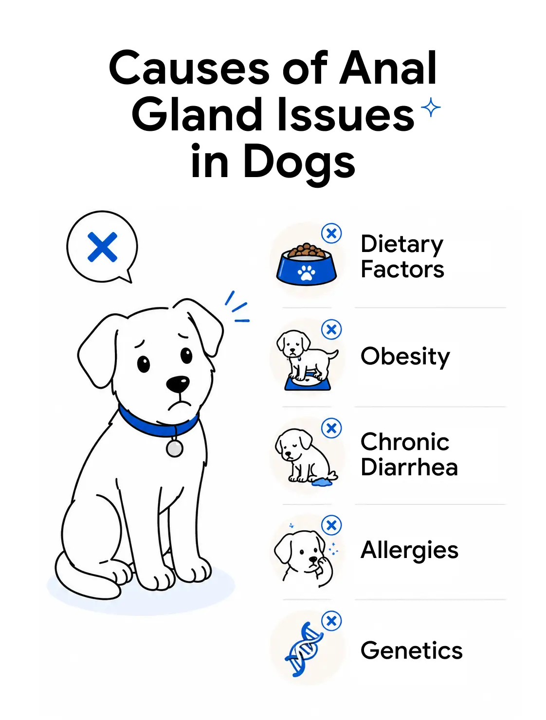 An infographic that highlights the causes of anal gland issues in dogs