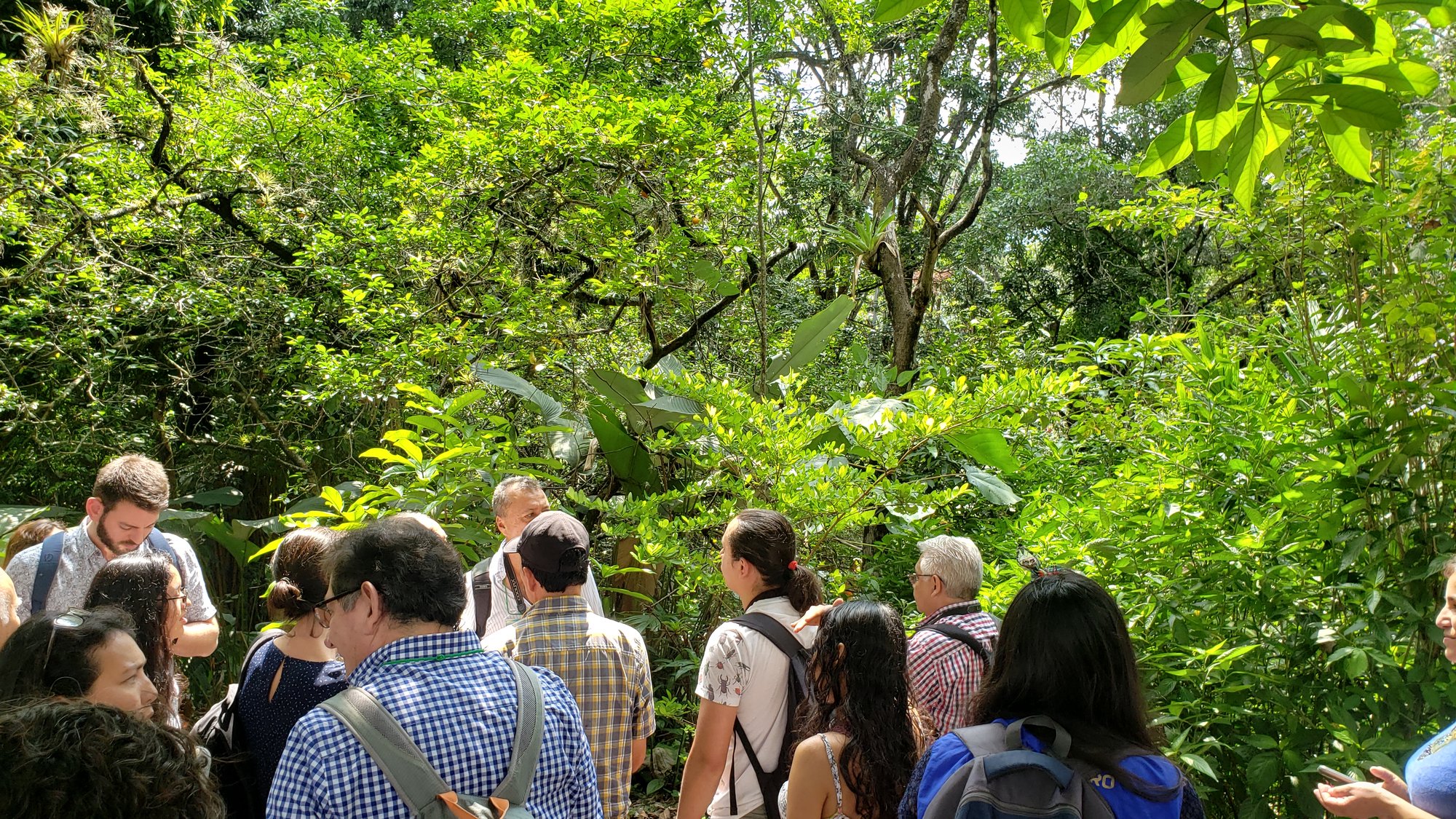 Participantes do encontro caminham em grupo por trilha de mata densa em jardim botânico na Colômbia