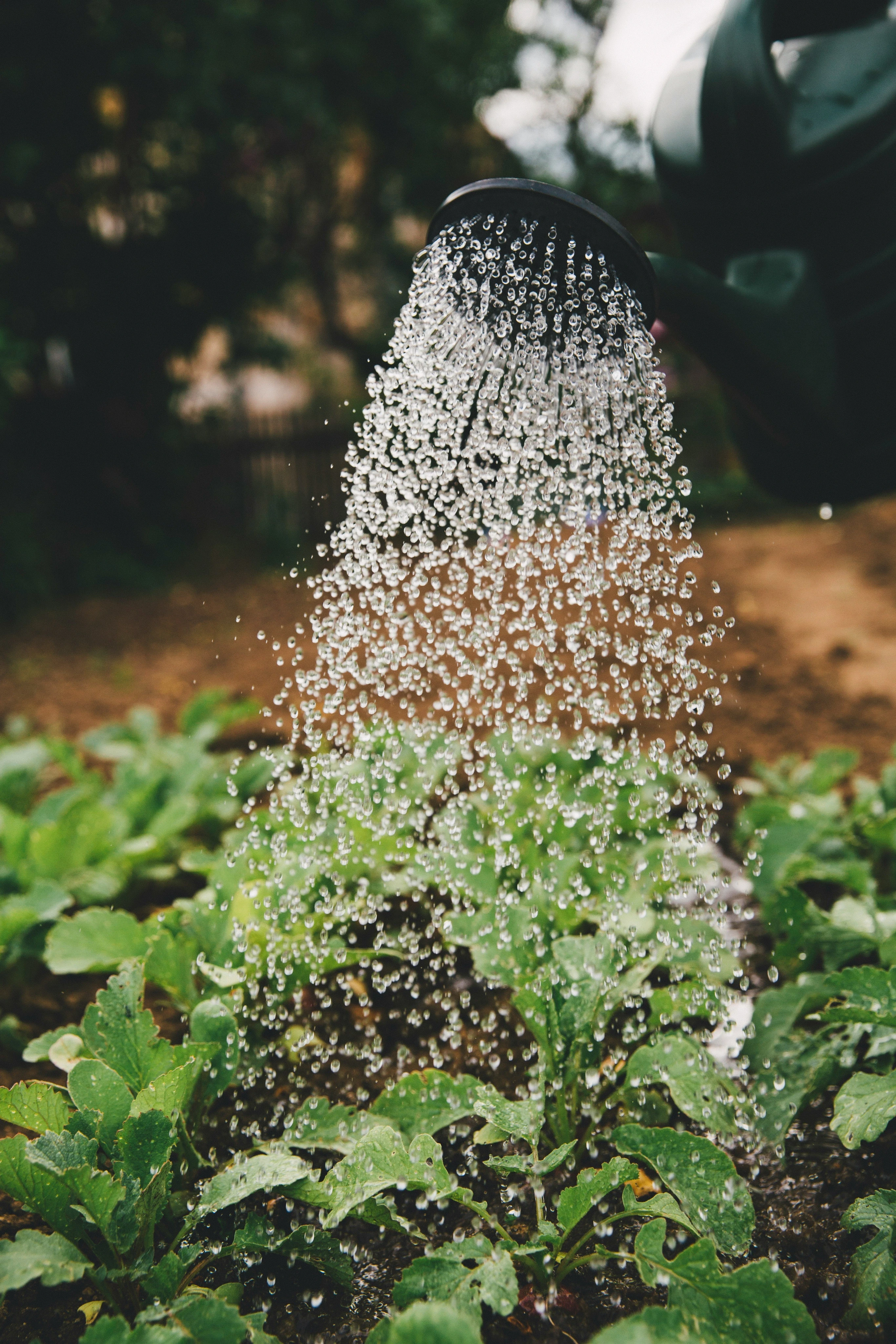 Natural farming