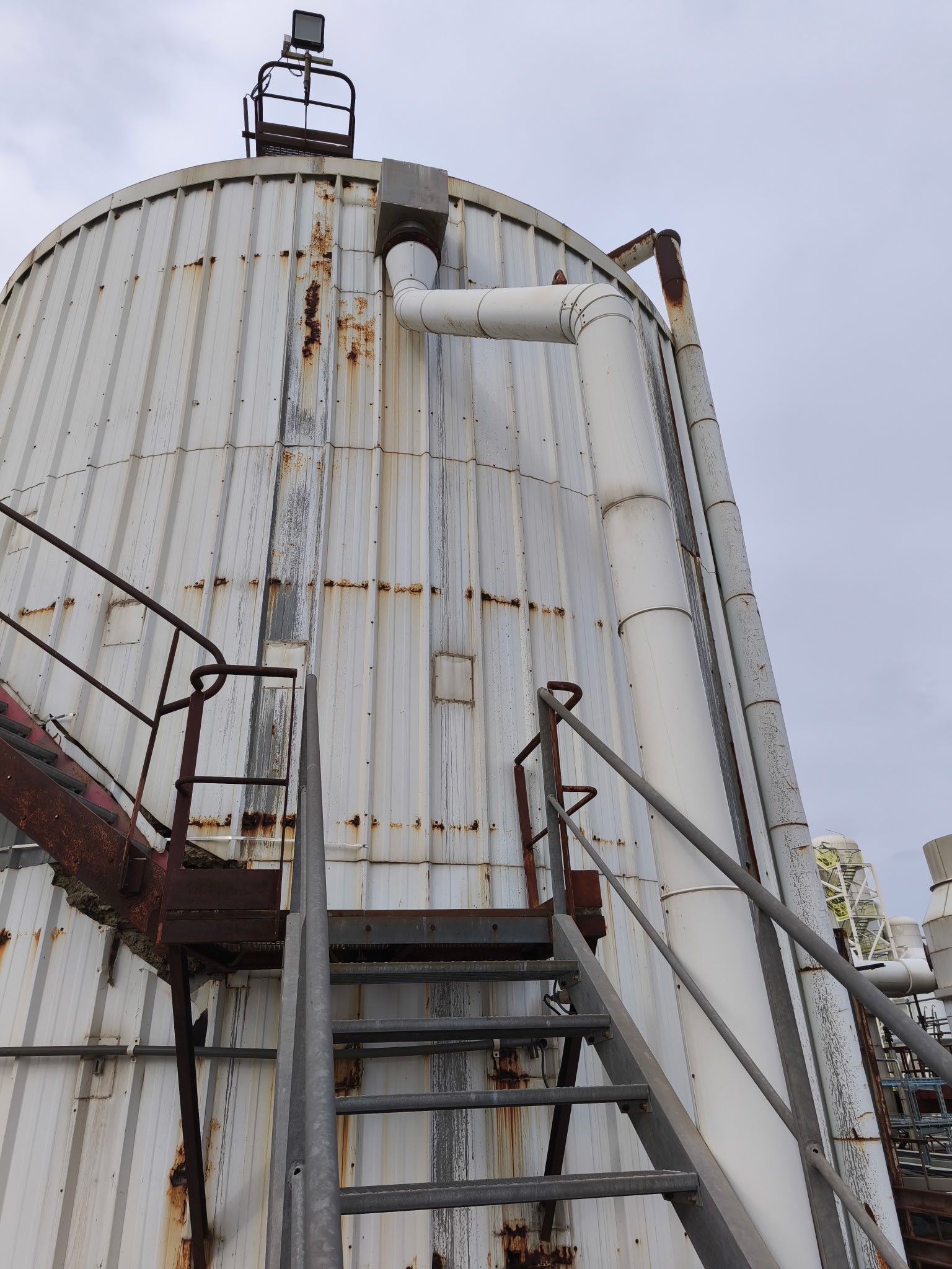 Close-up of a dark green leaf showing its textured surface and central vein against a muted background.
