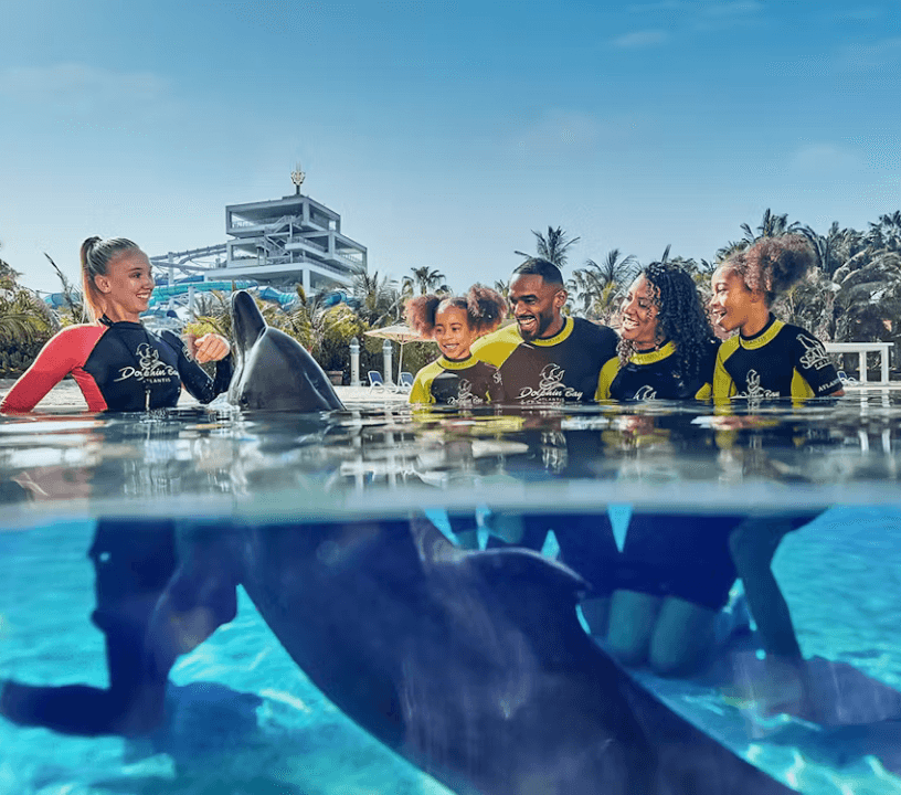 Enjoy a dolphin meet and greet at Dubai's Aquaventure Waterpark