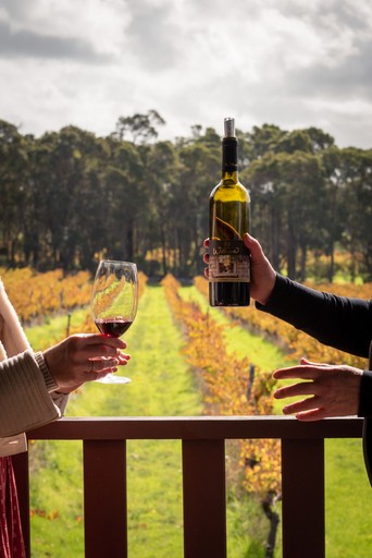 Image of a woman's hand holding a glass of red wine on the deck with vineyard behind