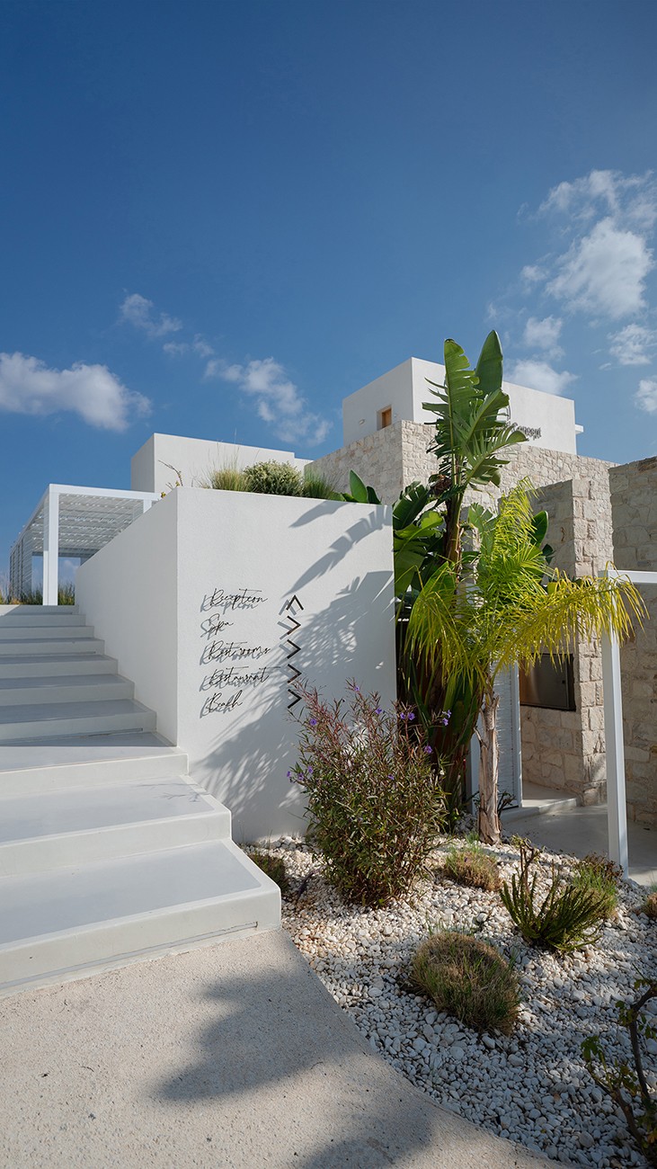 Villa terrace with garden planting, Loyal Group Realty listing photographed by TERAMOK