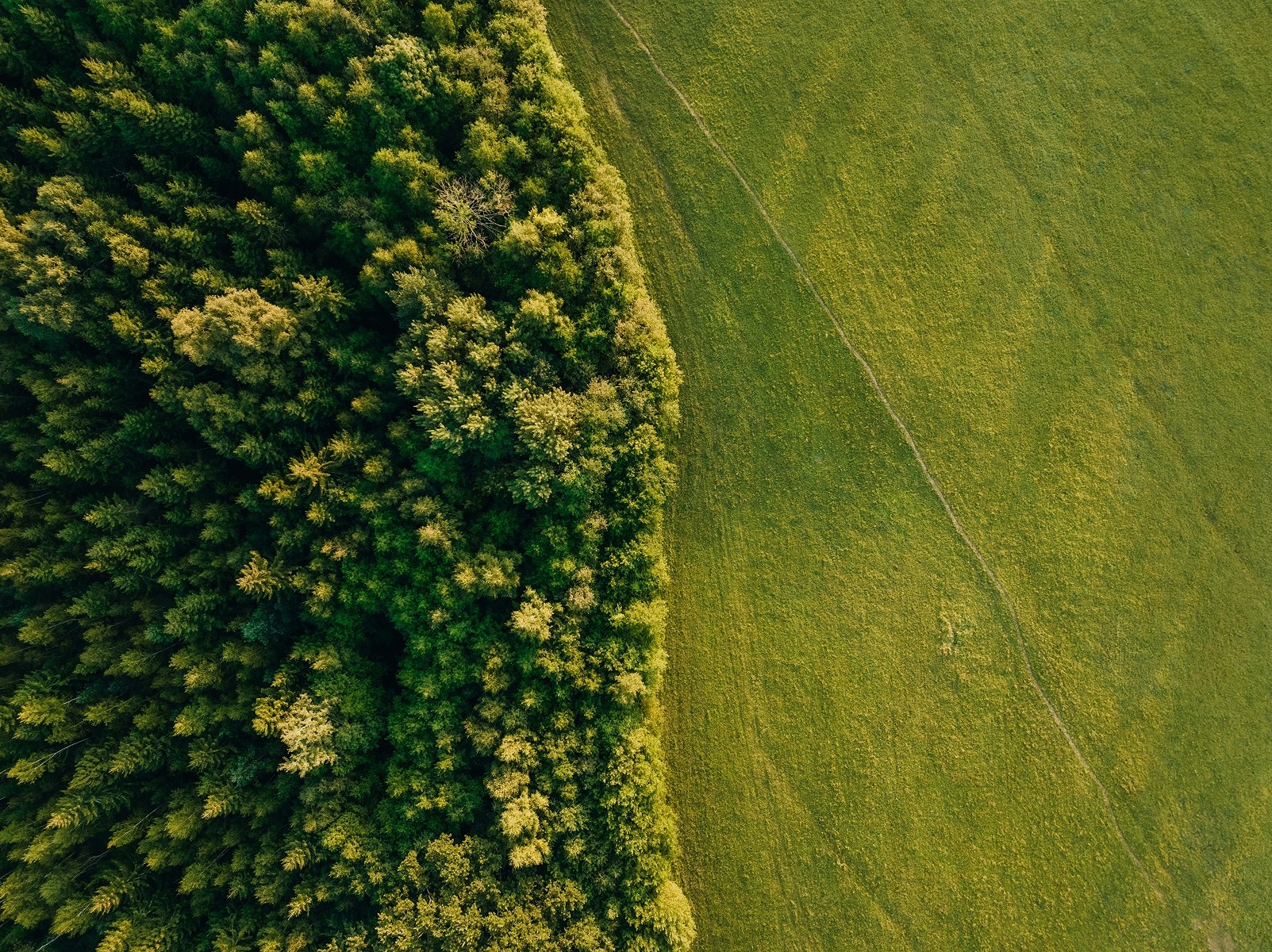 Drone Photography