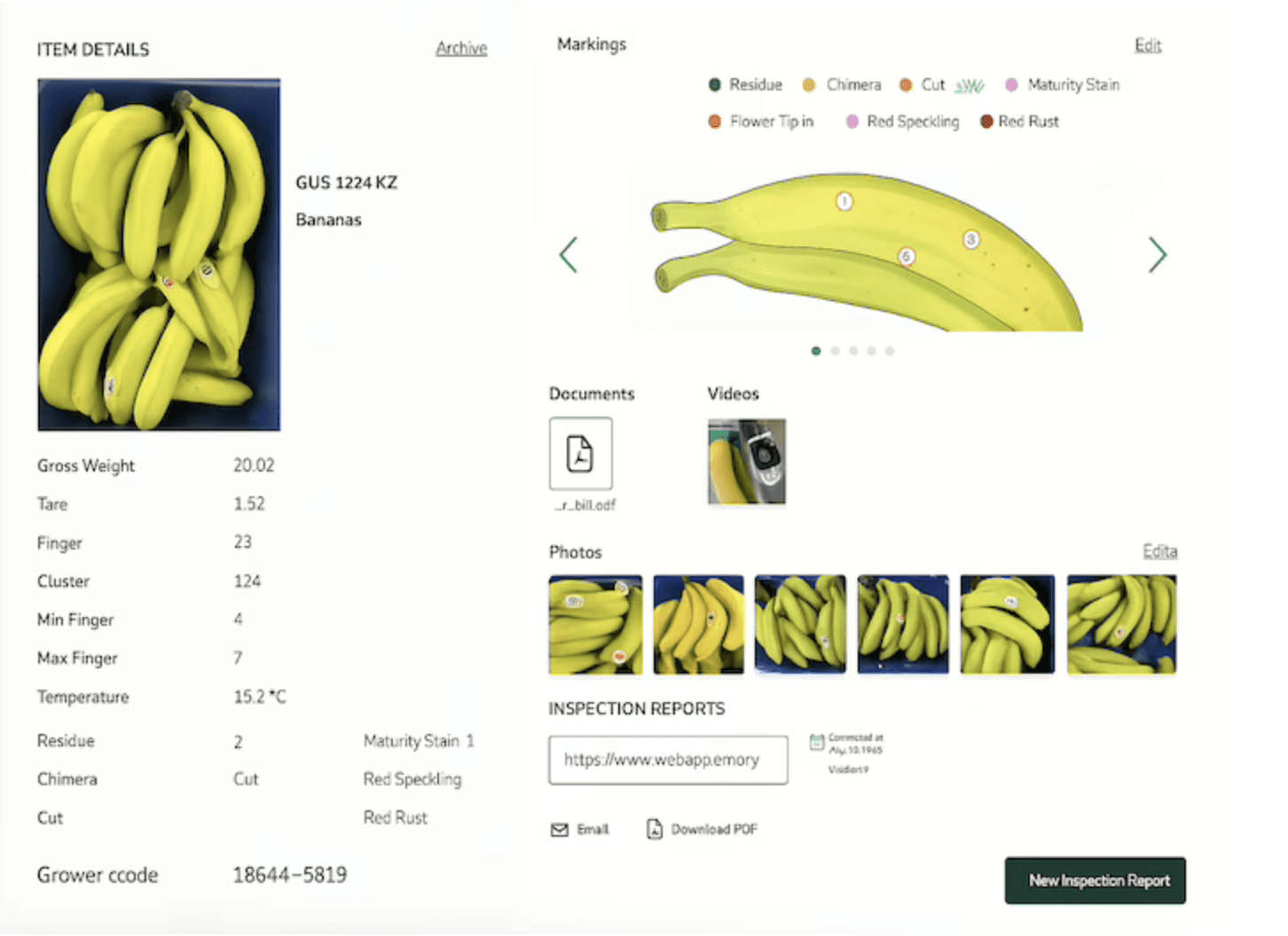 Web app dashboard showing banana quality inspection results