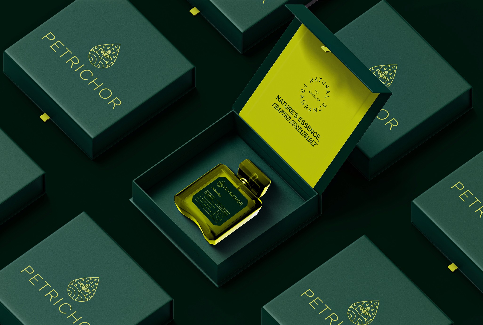 Large white dog staring at her owner